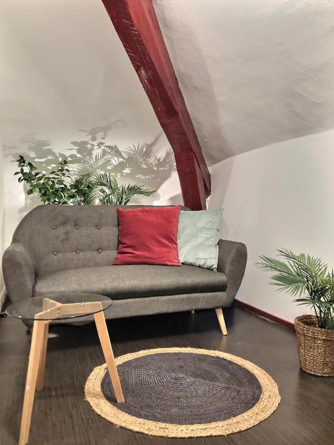 Apartmán Wonderhost, Au Calme En Hypercentre Avec Parking Pau Exteriér fotografie