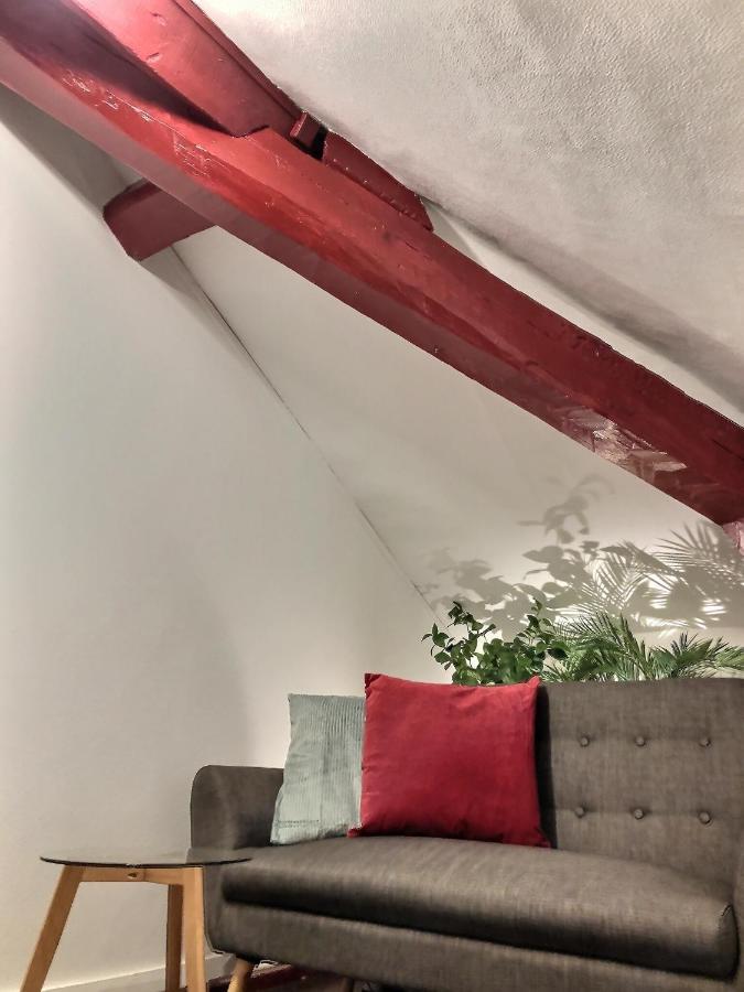 Apartmán Wonderhost, Au Calme En Hypercentre Avec Parking Pau Exteriér fotografie